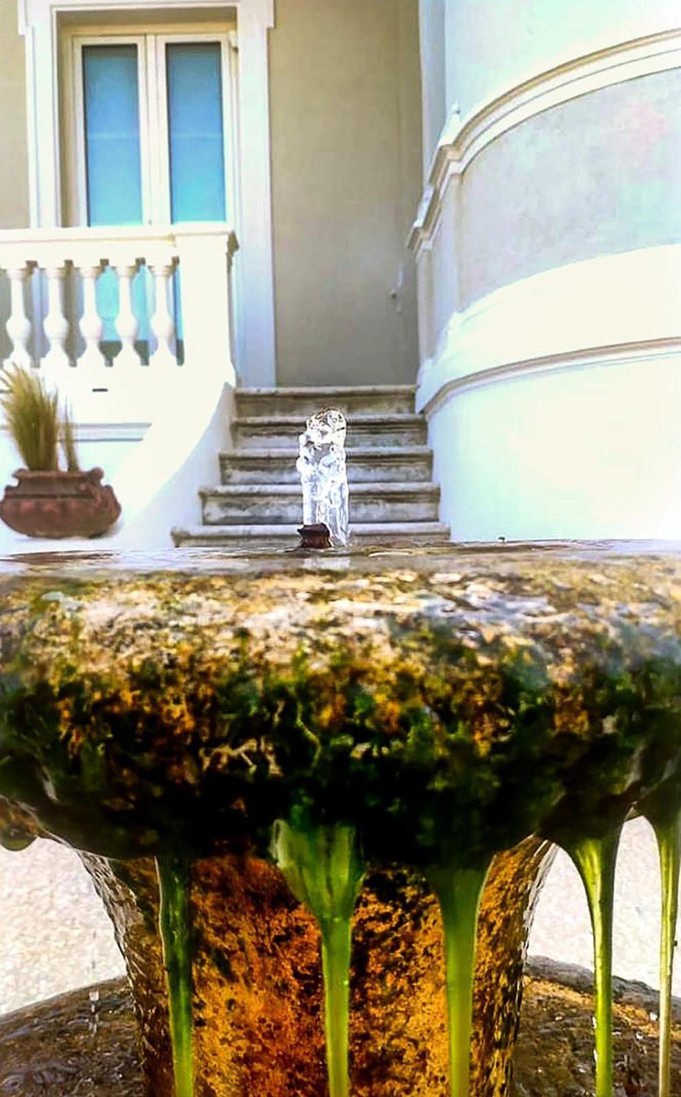 Villa La Torretta Luxury B&B - Adults Only - Rimini Bagian luar foto